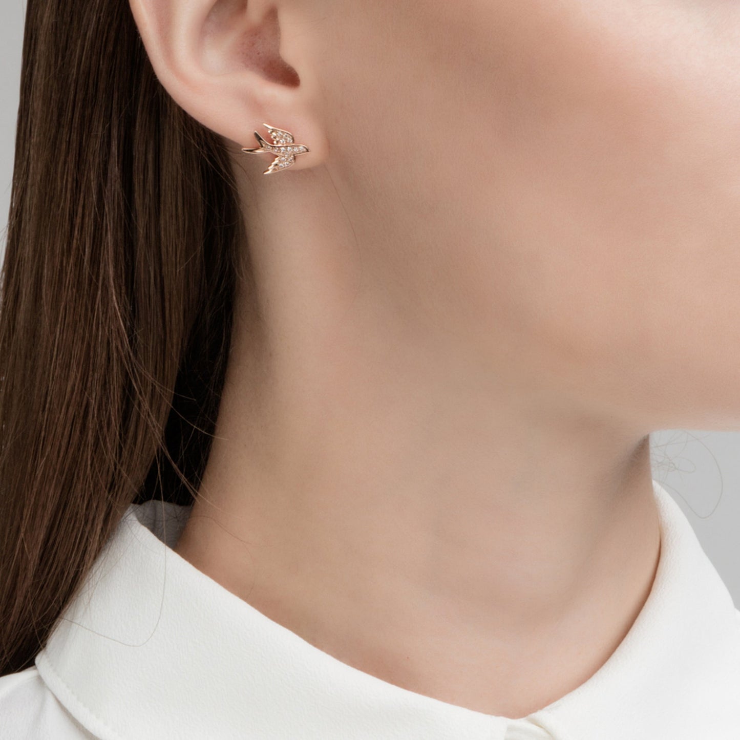 14k Gold Swallow Bird Stud Cushionblue
